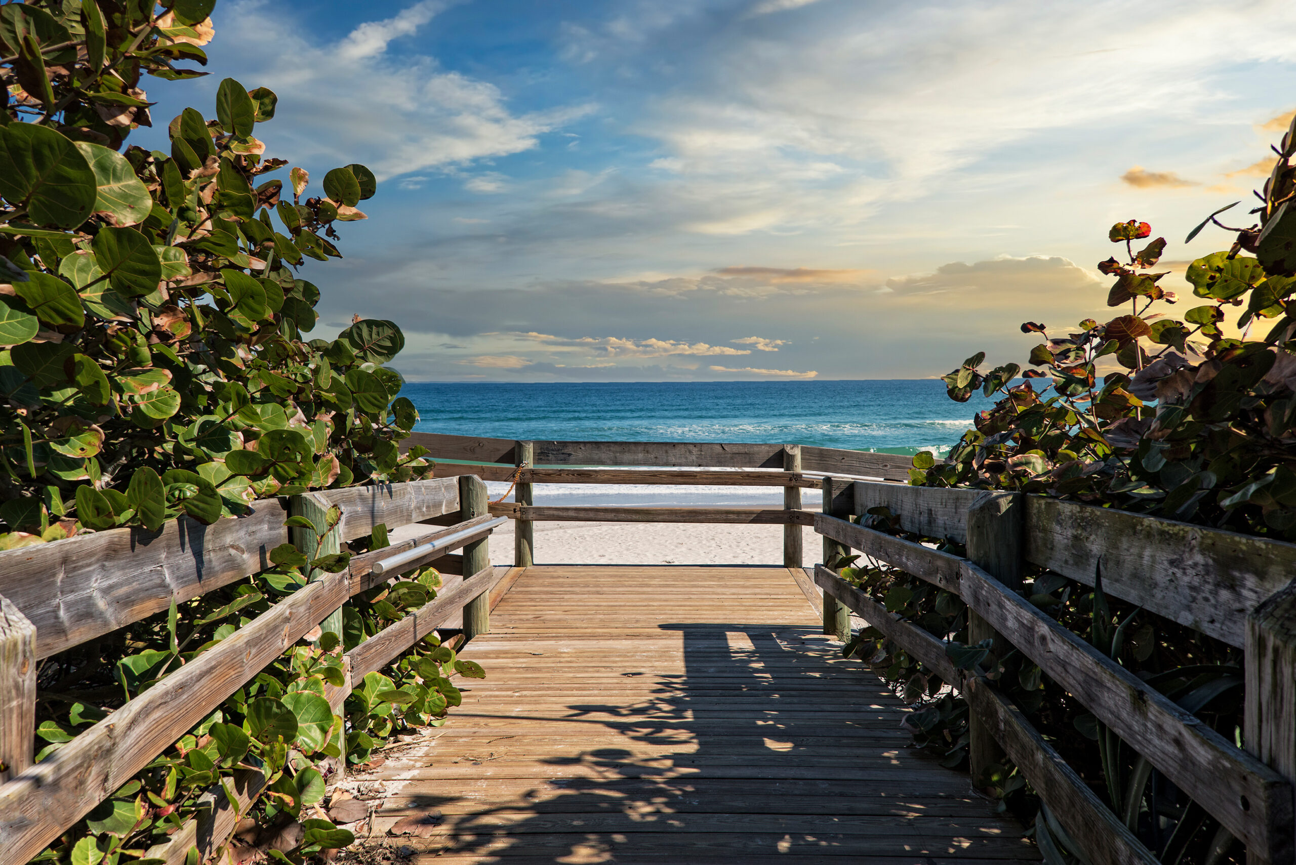 photo of a beach