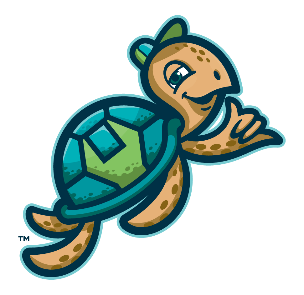 turtley awesome mascot
